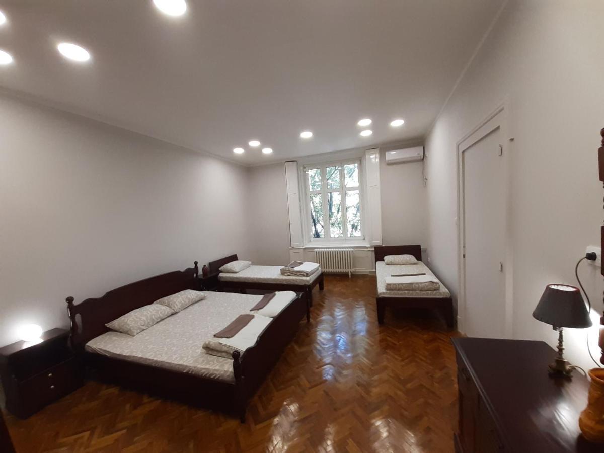 Downtown Apartment In Walk Zone With 3 Bedrooms And Garage ノヴィ・サド エクステリア 写真