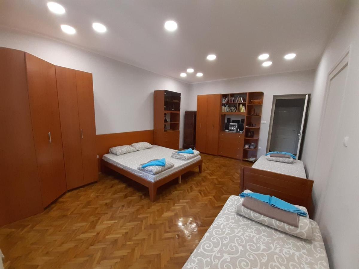 Downtown Apartment In Walk Zone With 3 Bedrooms And Garage ノヴィ・サド エクステリア 写真