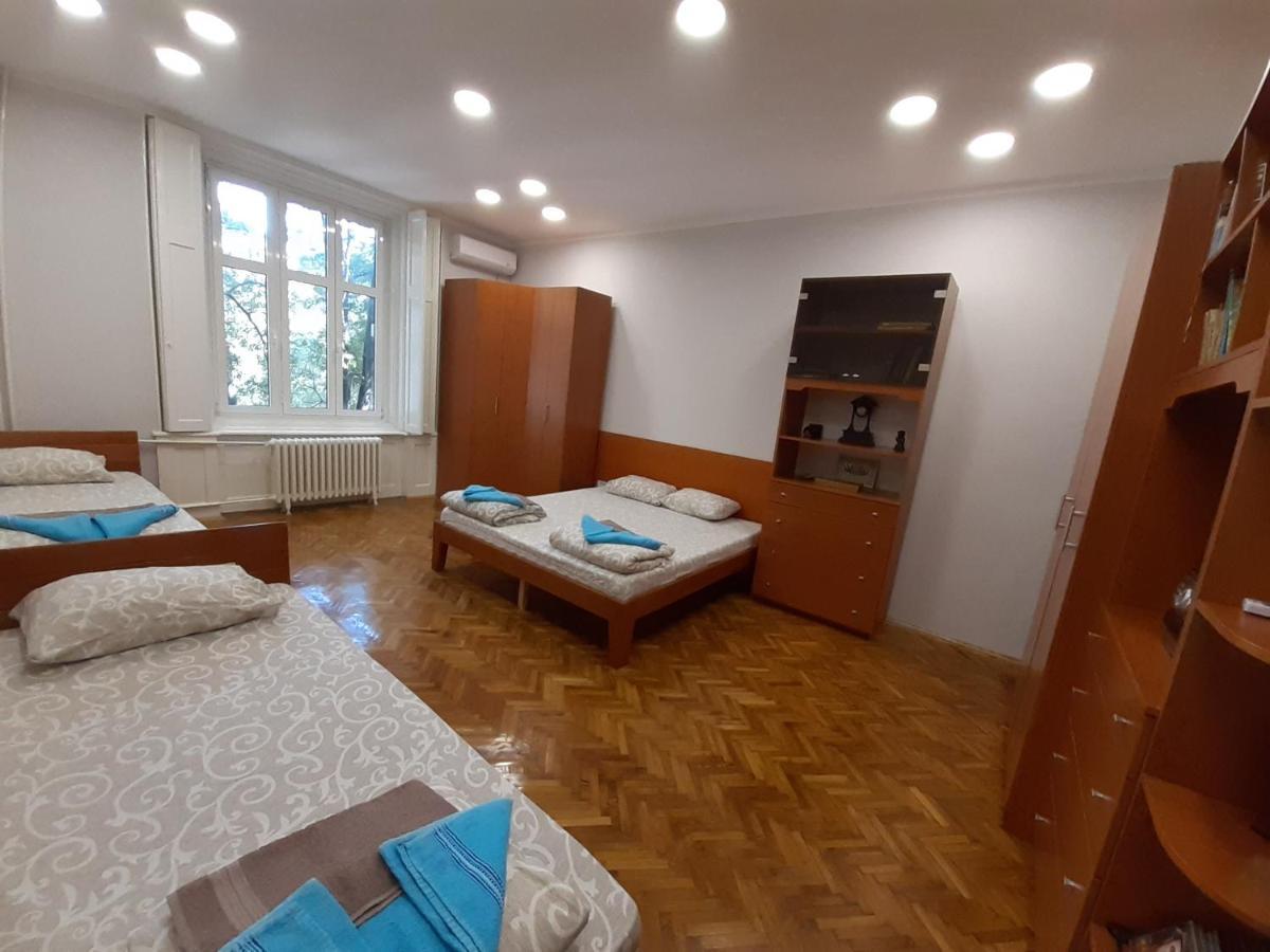 Downtown Apartment In Walk Zone With 3 Bedrooms And Garage ノヴィ・サド エクステリア 写真