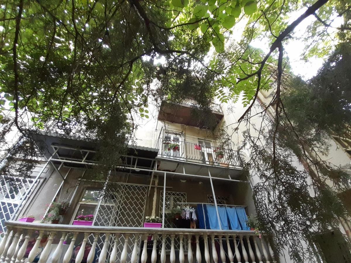 Downtown Apartment In Walk Zone With 3 Bedrooms And Garage ノヴィ・サド エクステリア 写真