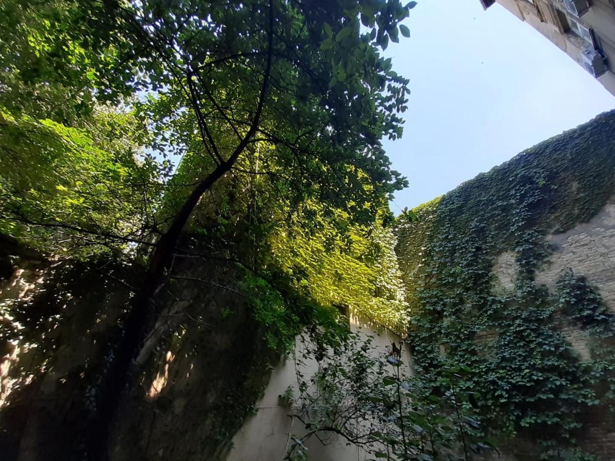 Downtown Apartment In Walk Zone With 3 Bedrooms And Garage ノヴィ・サド エクステリア 写真