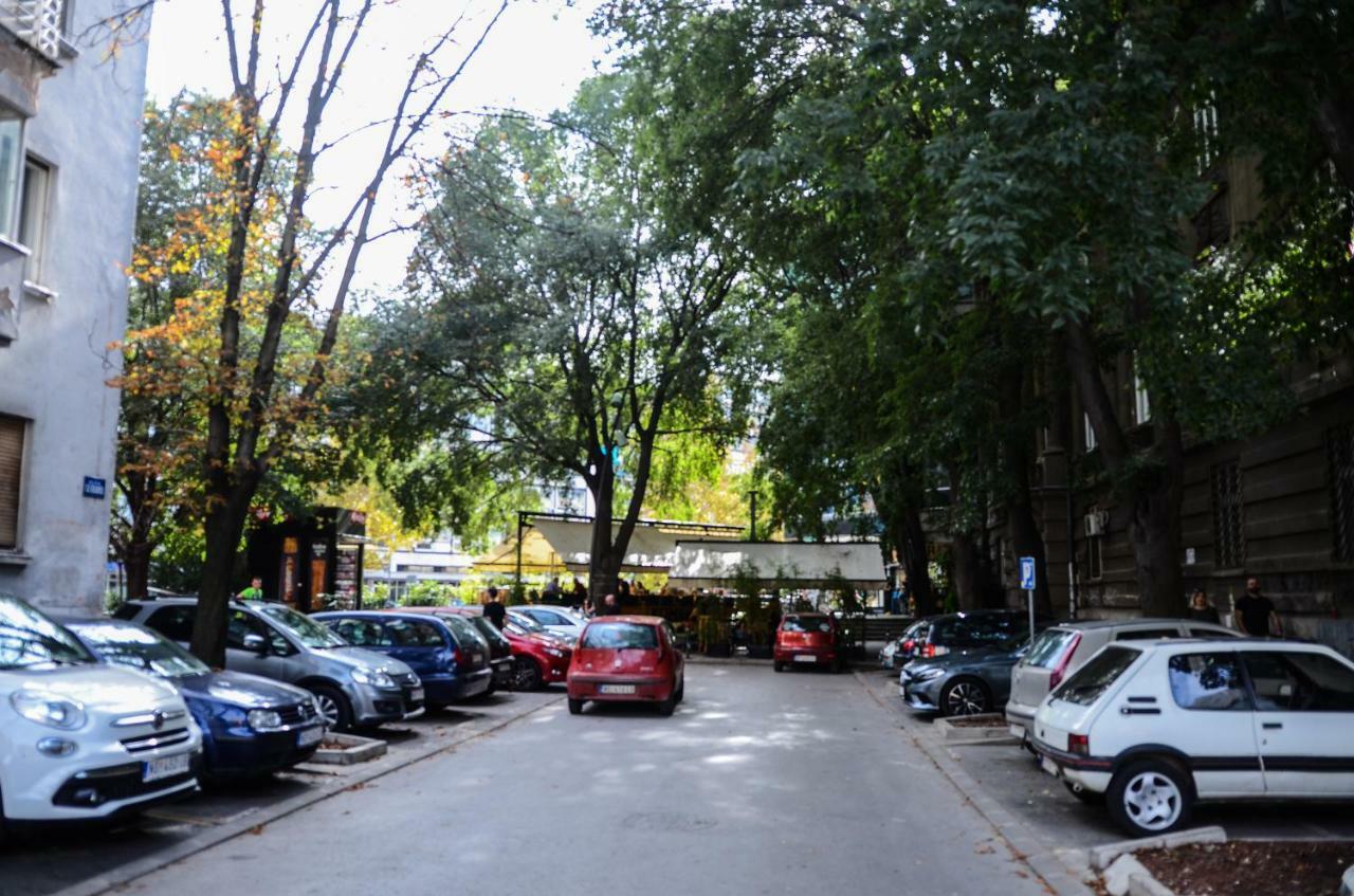 Downtown Apartment In Walk Zone With 3 Bedrooms And Garage ノヴィ・サド エクステリア 写真