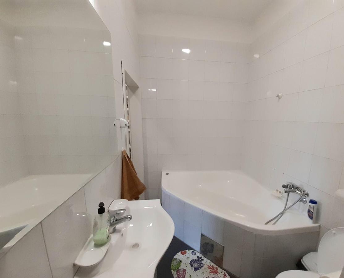 Downtown Apartment In Walk Zone With 3 Bedrooms And Garage ノヴィ・サド エクステリア 写真